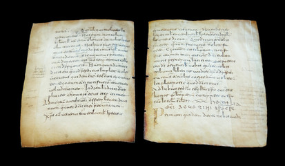 Obraz premium Ancient book sheets