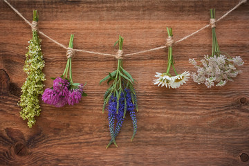 Bouquets of medicinal herbs on an old wooden background