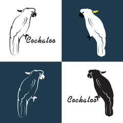 Vector image of an cockatoo © yod67