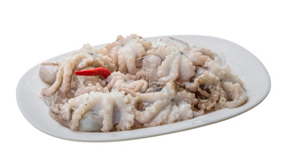 Raw octopus