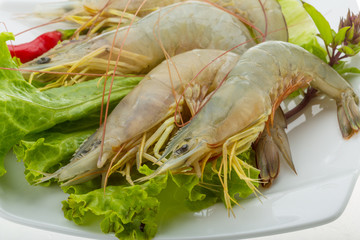 Raw tiger shrimps