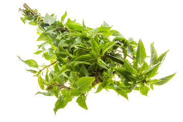 pepper mint