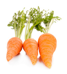 Fresh carrot with leaves isolated on white