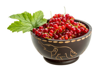 Red currant