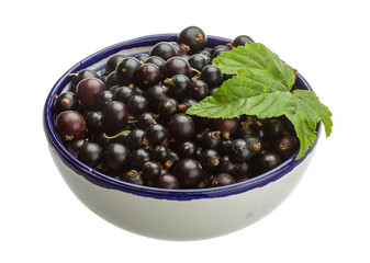 Black currant