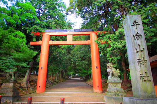 Toriia gateway at the entrance to a Shinto shrine 