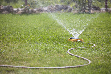 sprinkler spraying water on the grass