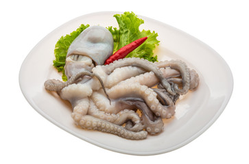 Raw octopus