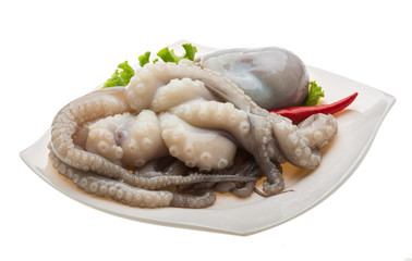 Raw octopus