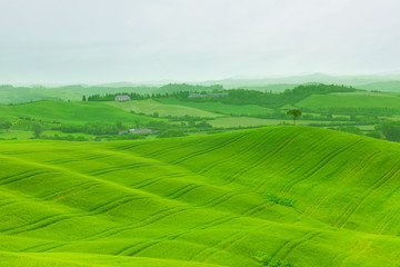 Green hills of Tuscany, Italy