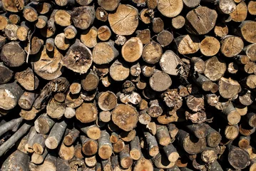 Möbelaufkleber Drying Logs © marko