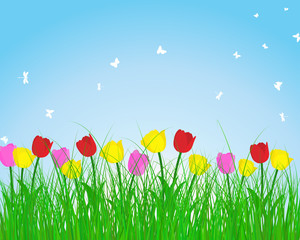 Naklejki  Letnia łąka tło z tulipanami
