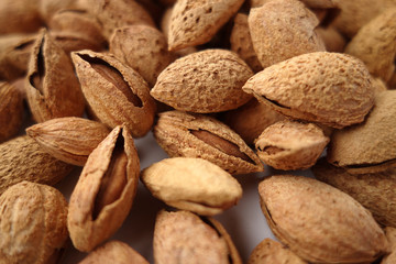 殻付き焼きアーモンド