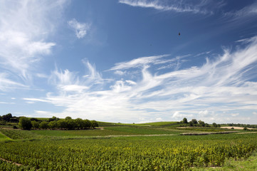 Kaiserstuhl