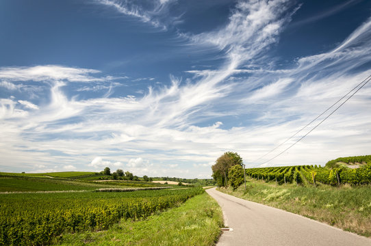Kaiserstuhl