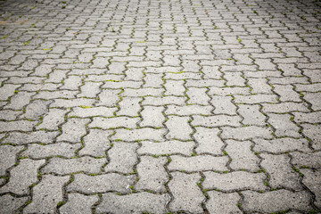 plastered place with vignette