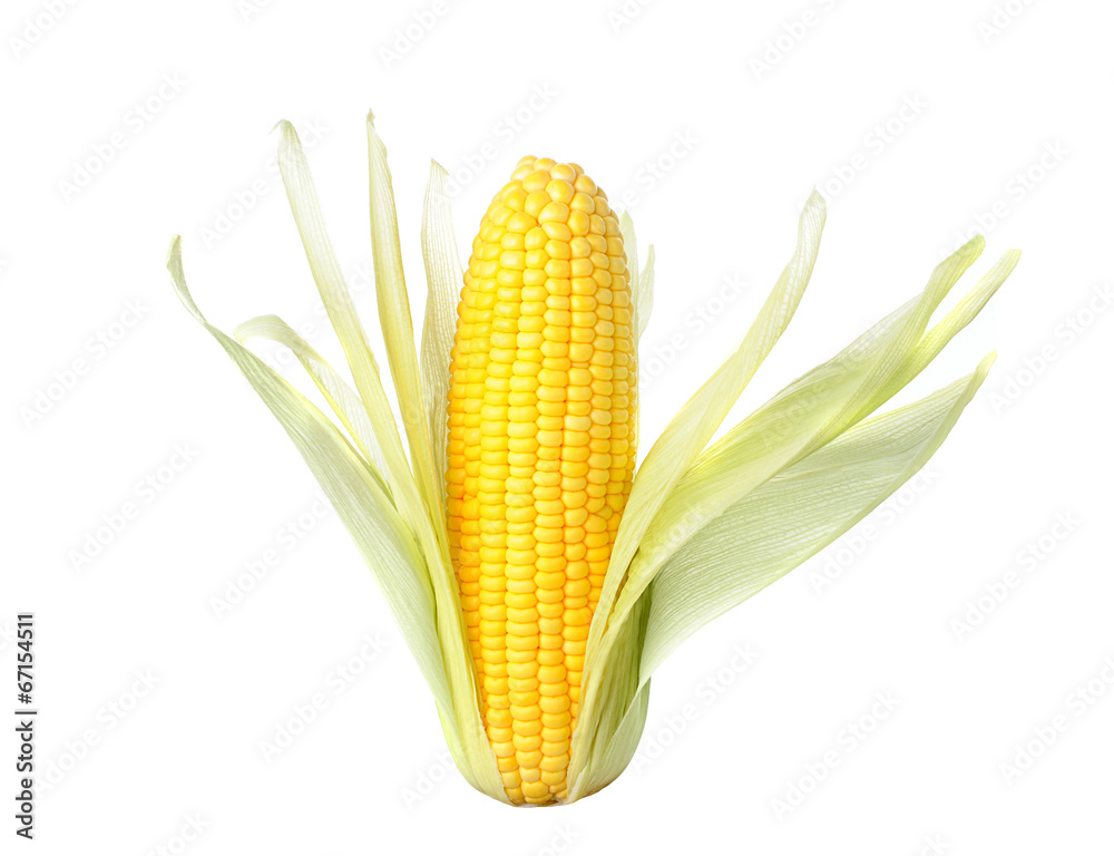 Sticker corn