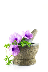 rock mortar with purple flower plant