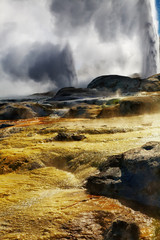 Pohutu Geyser, New Zealand