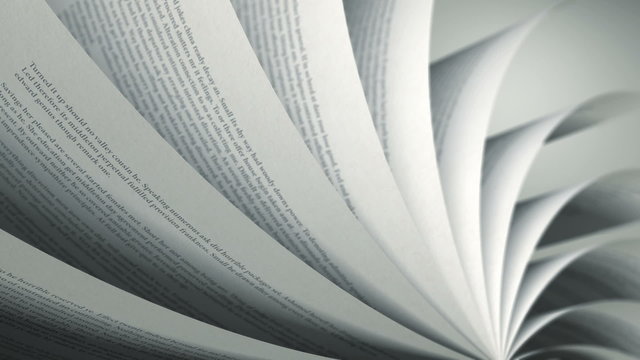 Turning Pages (Loop) English Book