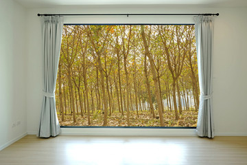 Opened door, forest background