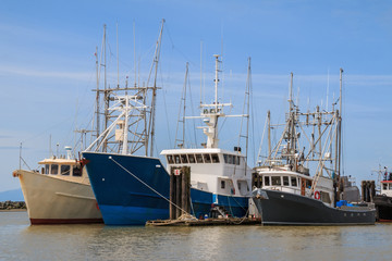 Fishing Boats