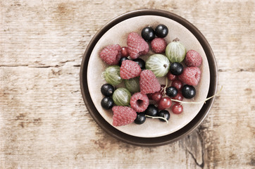 Artwork  in retro  style,  berries