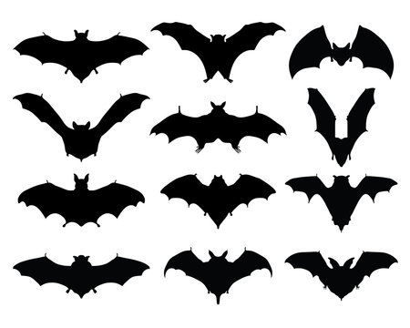 Black silhouettes of bats, vector