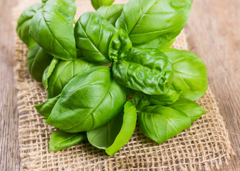 Bundle of herbs basil