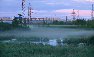 Nadym, Russia - 27 June 2008: the Landscape of the Northern natu