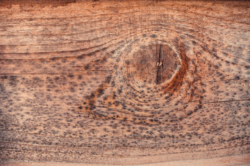 Naklejka premium pine, rotten wood, raw, Wood texture