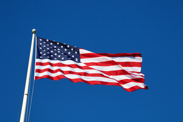 Fototapeta premium American flag