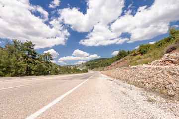 Fototapeta premium road with pines and cloudy sky in aegean region of Turkey