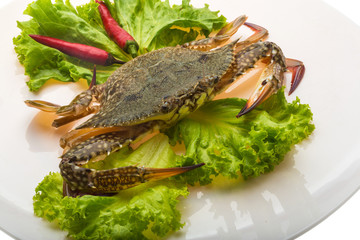 Raw crab