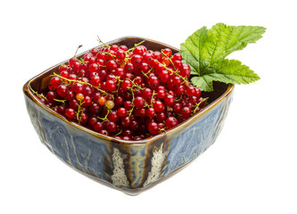 Red currant