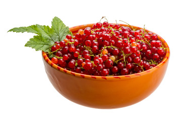 Red currant