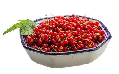 Red currant