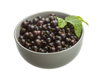 Black currant