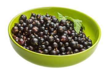 Black currant