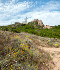 Fototapeta na wymiar Phare du Capo Testa - Sardaigne - Sardinia
