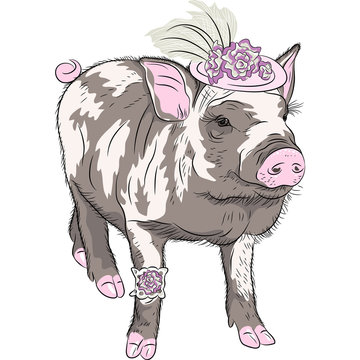 vector fashion funny piggy in beautiful hat wit flowers and gart