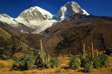 Peel and stick wall murals Alpamayo Mountain landscape in the Andes, Peru, Cordiliera Blanca