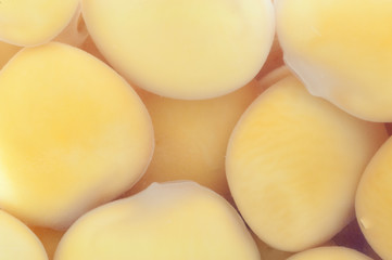 lupins background