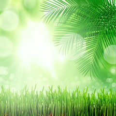 Obraz premium natural green background with selective focus