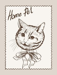 home pet cat