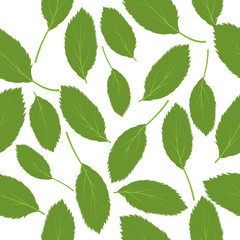 Vector illustration seamless pattern green leaves
