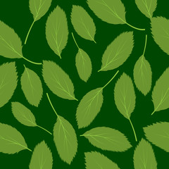 Fototapeta na wymiar Vector illustration seamless pattern green leaves