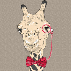 Naklejka premium vector closeup portrait of funny Giraffe hipster