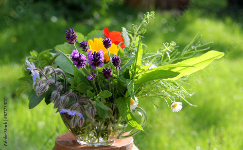 "Gartenkräuter und Küchengewürze" Stockfotos und lizenzfreie Bilder auf