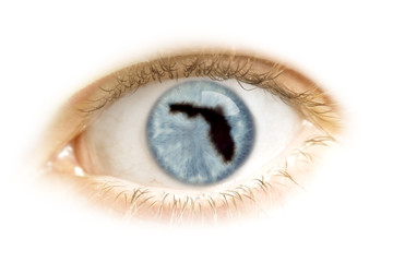 Naklejka premium Close-up of an eye with the pupil in the shape of Florida.(serie